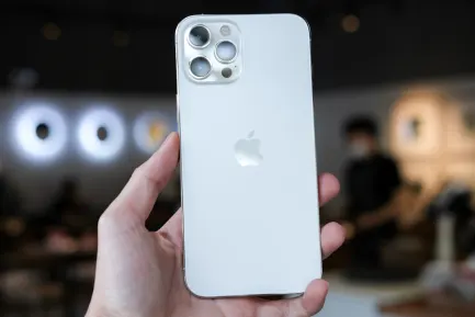 블루폭스 카지노 모바일 앱